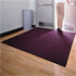 Carpet Scraper Mats
